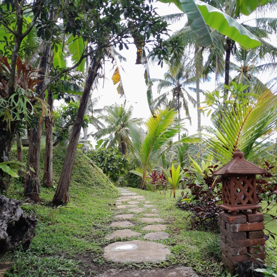 فندق Sugita Wooden House بيانغان المظهر الخارجي الصورة